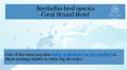 Seychelles bird species by Coral Strand Hotel PowerPoint PPT Presentation
