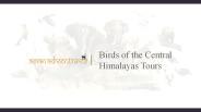 center birding tours in india