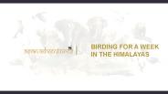 BIRDING FOR A WEEK IN THE HIMALAYAS