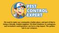Pest Control Professional in Martinez - Pest Control Expert PowerPoint PPT Presentation