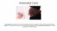 Antenatal Care PowerPoint PPT Presentation