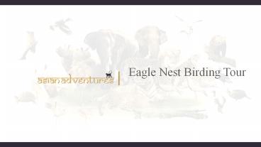 presentation player overlay