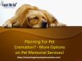 Planning For Pet Cremation? - More Options on Pet Memorial Services! PowerPoint PPT Presentation