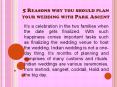 5 Reasons why you should plan your wedding with Park Ascent