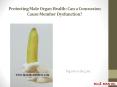 Protecting Male Organ Health: Can a Concussion Cause Member Dysfunction? PowerPoint PPT Presentation