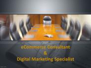 Ecommerce Consultant & Digital Marketing Specialist