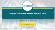 Polymer Gel Market Research Report 2020