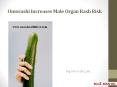 Omorashi Increases Male Organ Rash Risk PowerPoint PPT Presentation