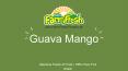 Guava Mango | Online Store | Fru2go Alphonso Mango Jain Farm Fresh Foods PowerPoint PPT Presentation