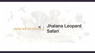 Jhalana Leopard Safari