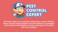 Affordable Pest Control Services in Rio Vista - Pest Control Expert PowerPoint PPT Presentation