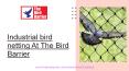 Find best industrial bird netting at The Bird Barrier PowerPoint PPT Presentation