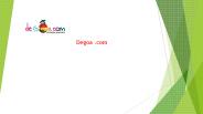Best Travel Agency in Goa