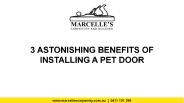 3 Astonishing Benefits of Installing a Pet Door