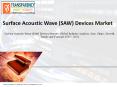 Surface Acoustic Wave (SAW) Devices Market: Industry Insights, Outlook and Forecast upto 2024 PowerPoint PPT Presentation