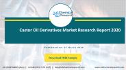 Castor Oil Derivatives Market Research Report 2020