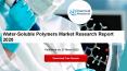 Water-Soluble Polymers Market Research Report 2020 PowerPoint PPT Presentation