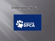Houston animal cruelty