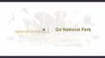 Gir National Park PowerPoint PPT Presentation