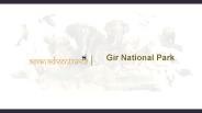 Gir National Park