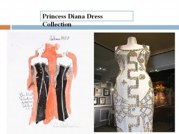 Princess Diana Dress Collection