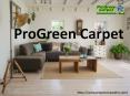 Durham Carpet Cleaning - ProGreen Carpet NC PowerPoint PPT Presentation