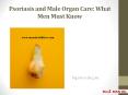 Psoriasis and Male Organ Care: What Men Must Know PowerPoint PPT Presentation