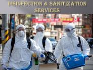 Disinfection & sanitization services