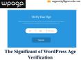 WordPress Age verification for You and also Your Customers PowerPoint PPT Presentation