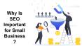 Why Is SEO Important for Small Business? PowerPoint PPT Presentation