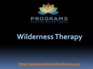 Wilderness Therapy  - programsfortroubledteens.com