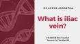 What is iliac vein PowerPoint PPT Presentation