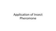 Application of Insect Pheromone