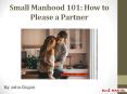 Small Manhood 101: How to Please a Partner PowerPoint PPT Presentation