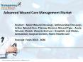 Advanced wound care management market  is projected to expand at a CAGR of 5.8% from 2018 to 2026 PowerPoint PPT Presentation