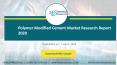 Polymer Modified Cement Market Research Report 2020 PowerPoint PPT Presentation