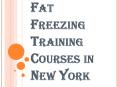 Fat Freezing Training Courses in New York PowerPoint PPT Presentation