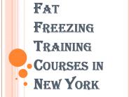 Fat Freezing Training Courses in New York