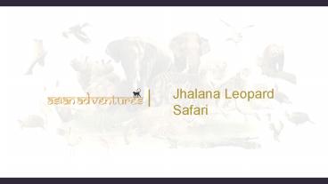 Jhalana Leopard Safari Jaipur