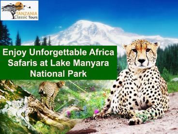Enjoy Unforgettable Africa Safaris at Lake Manyara National Park