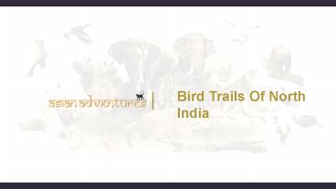 birding tour operators in india