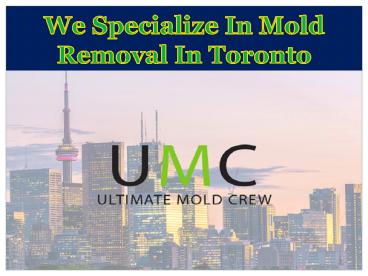 We Specialize In Mold Removal In Toronto