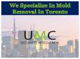 We Specialize In Mold Removal In Toronto PowerPoint PPT Presentation