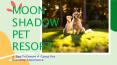 4 Tips To Ensure A Great Pet Boarding Experience PowerPoint PPT Presentation