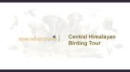 Central himalayan birding tour (1)