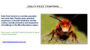Pest Control Picton Services - Falls Pest Control
