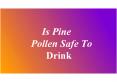 Is pine pollen safe to drink? PowerPoint PPT Presentation