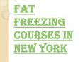 Fat Freezing Courses in New York PowerPoint PPT Presentation