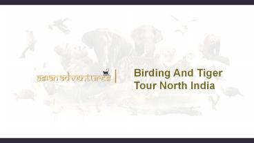Birding and tiger tour north india (1)