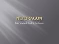 Netdragon- Virtual Reality Software for Schools PowerPoint PPT Presentation